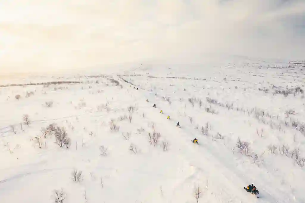 Растопи север