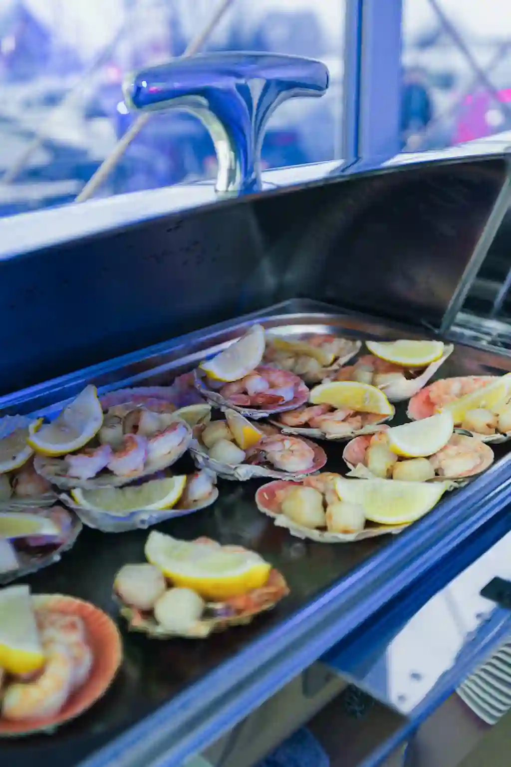 Растопи север