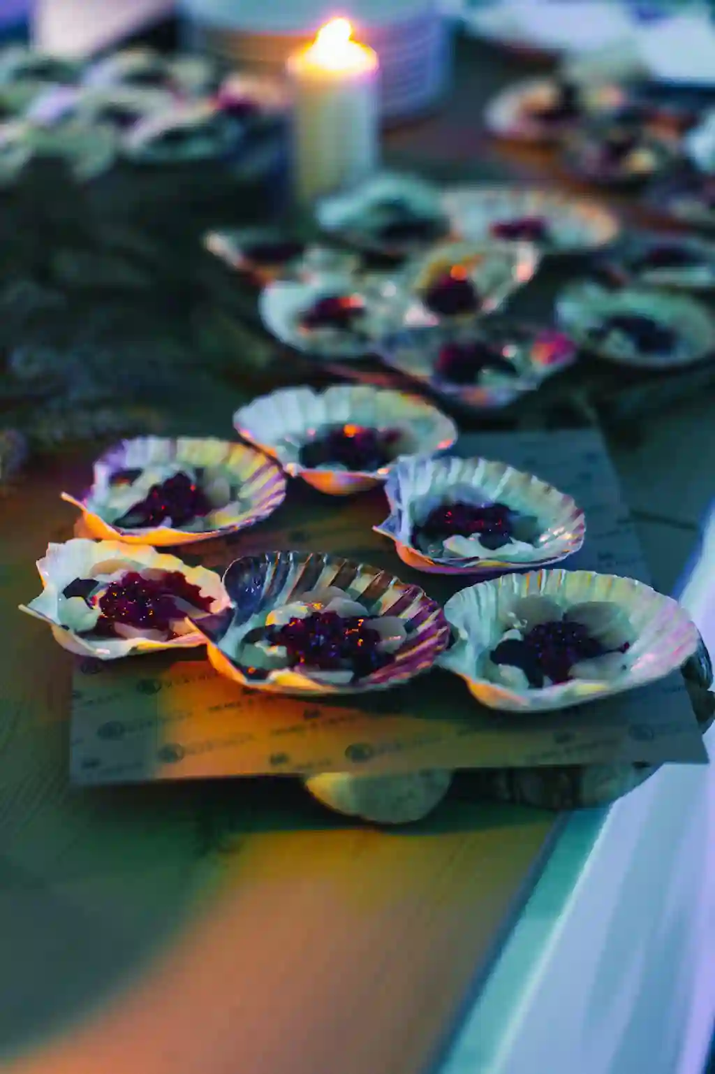 Растопи север