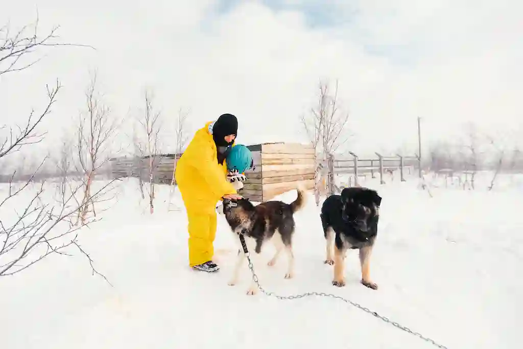Растопи север